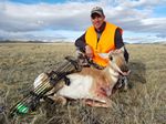 22 Tido 2016 Antelope Doe